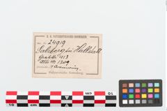 Etiketten zu Bronzearmreif (NHMW-PRAE-024919)